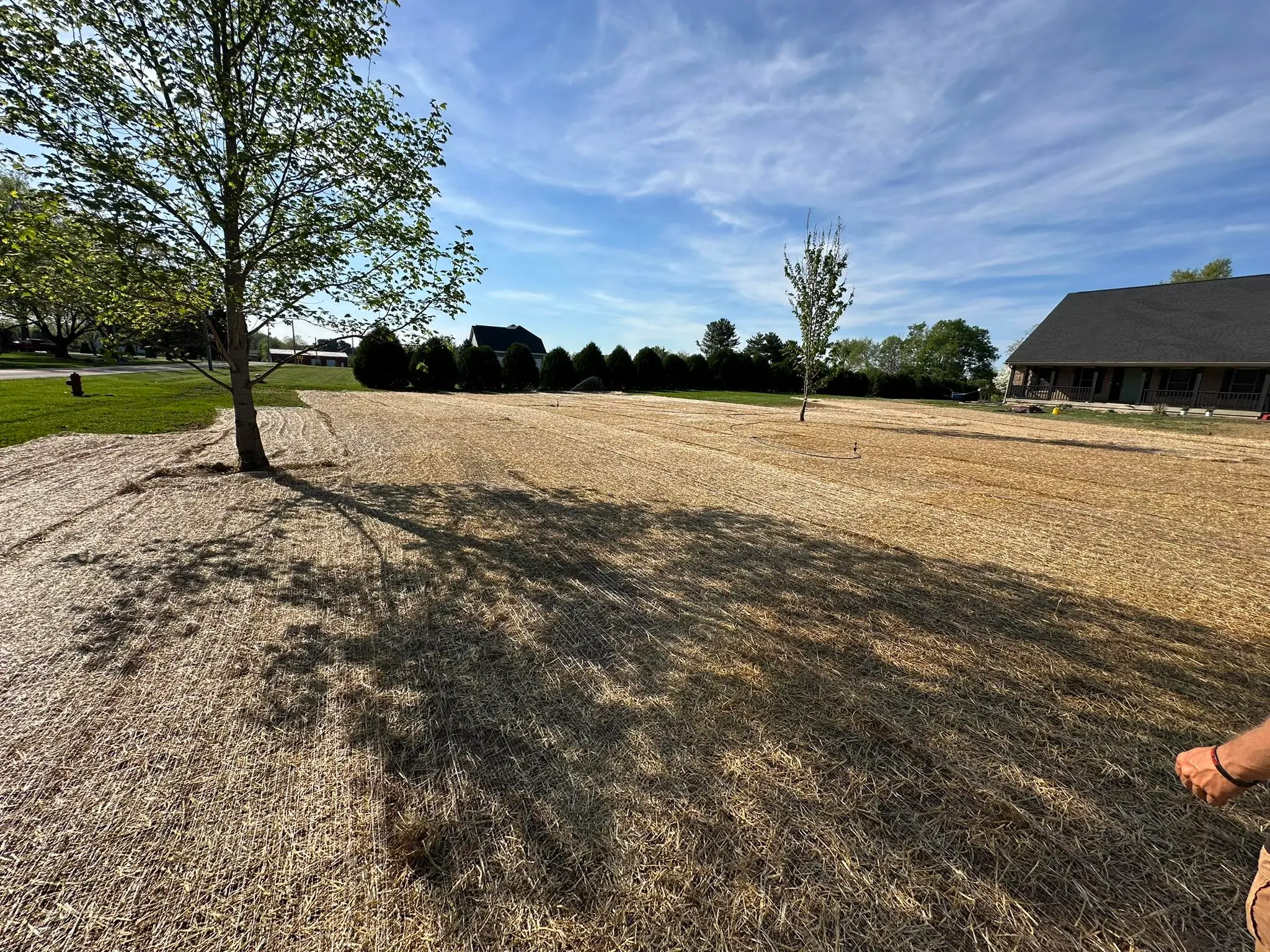 Yard Grading services